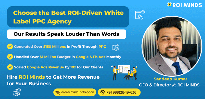 ROI Minds - White Label PPC Agency